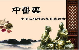 絲路傳杏林，仁心潤萬邦 中醫學者譚鎮平推動中醫藥文化在新時代絲路上綻放異彩